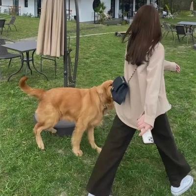 26种新死法